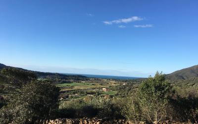 Camera Matrimoniale/Doppia con Letti Singoli con Vista Mare 