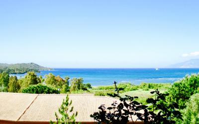 Appartement 1 Chambre Appartement 1 Chambre