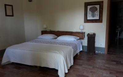 Camera Matrimoniale/Doppia con Letti Singoli