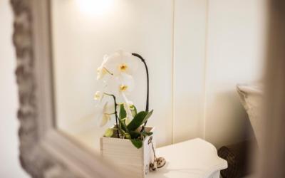 Camera Matrimoniale/ Doppia con Letti Singoli con Balcone e Vista Parziale Lago