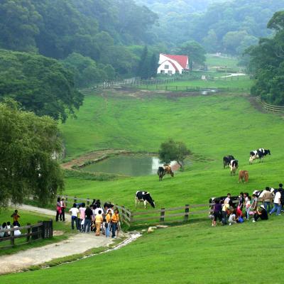 旅遊訂房 台灣-苗栗縣 飛牛牧場 (Flying Cow Ranch) - 268篇評鑑 評分:8.4