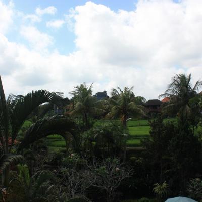 旅遊訂房 印尼-峇里 拉迪提亞住宿酒店 (Raditia Homestay) - 7篇評鑑 評分:8.5