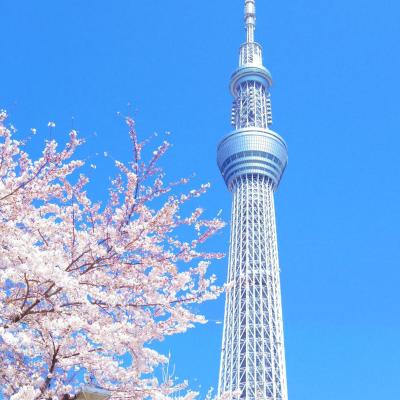 旅遊訂房 日本-東京 Peace Inn Skytree Tokyo - 2篇評鑑 評分:7.8