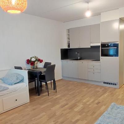 旅遊訂房 芬蘭-萬塔 Ruby studio 5min to Vantaa Airport and 20min to Helsinki center - 53篇評鑑 評分:9.2