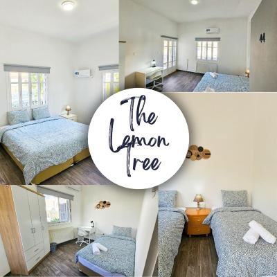 旅遊訂房 塞普勒斯-拉納卡 The Lemon Tree Hostel - 9篇評鑑 評分:8