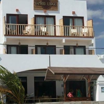 旅遊訂房 秘魯-帕拉卡斯 帕拉卡斯班布山林小屋 (Bamboo Lodge Paracas) - 8篇評鑑 評分:6.5