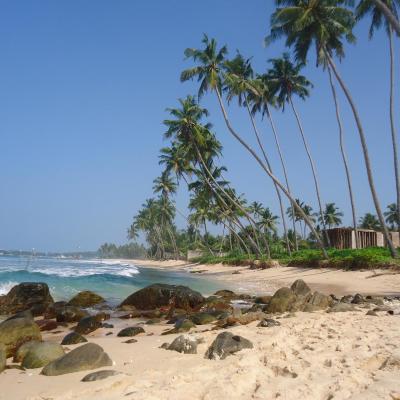 旅遊訂房 斯里蘭卡-烏納瓦圖納 Disa Residence - 3篇評鑑 評分:9.6