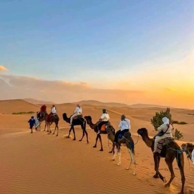 旅遊訂房 摩洛哥-梅思佳 Bivouac Camel Trips - 18篇評鑑 評分:8.9