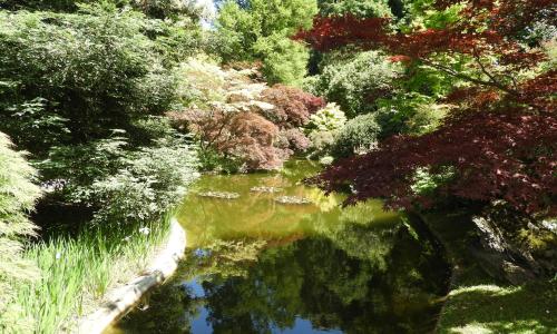 Chambre d'Hôtes - Les Oliviers