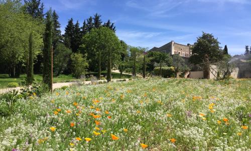 Domaine Les Martins - Gordes