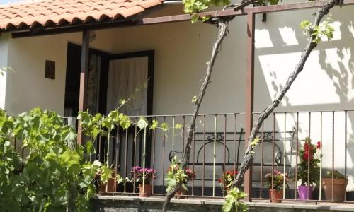 Casa vacanza Etna Evergreen