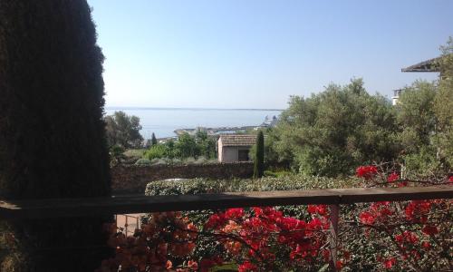 Jardins En Ville