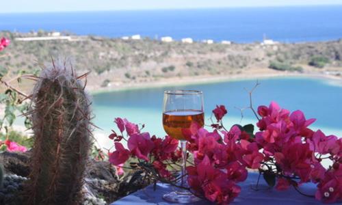 Dammuso Il Fenicottero Rosa