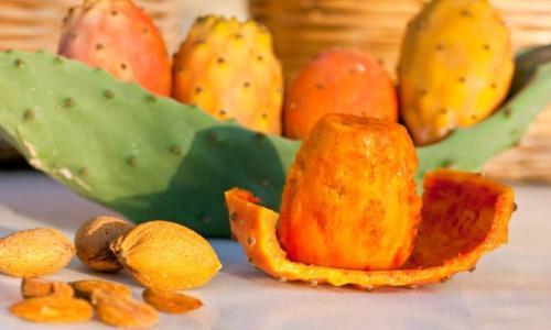 Il Baglio di Kharrub rural guest house