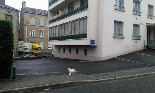 Bel appartement a vivre