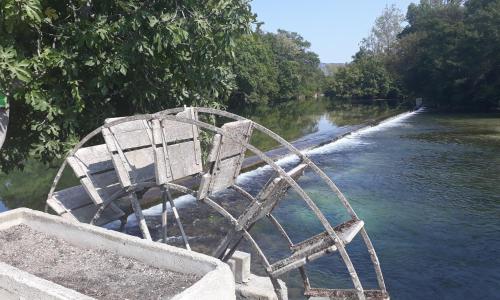 Mas et Gite de la Picholine