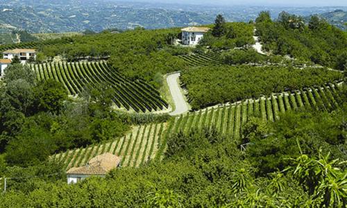 Agriturismo Cascina Anrì