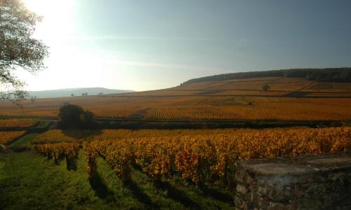 Les Chambres Buissonnieres