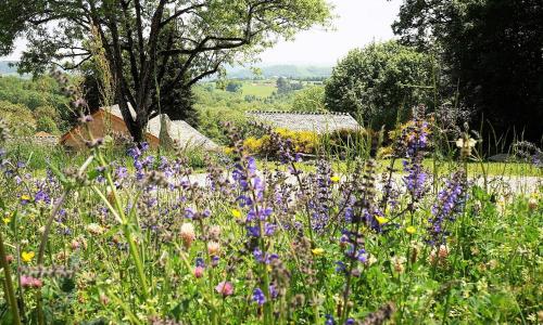 Domaine des Maréquiers chambre Mélilot