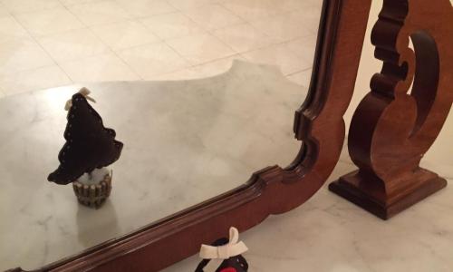 Appartamento Sacro Cuore