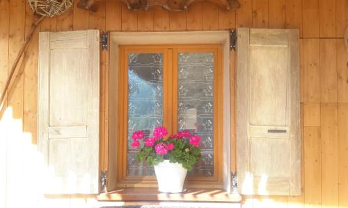 Le Perce Neige