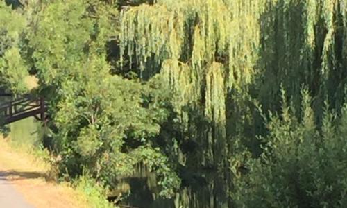 Relais de la Venise verte