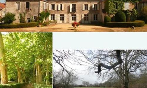 Eco Logis de Chantegrolle