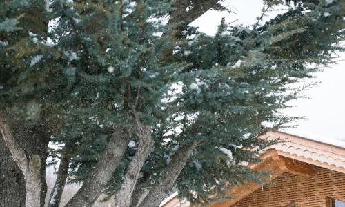 Sport Hotel Prodongo