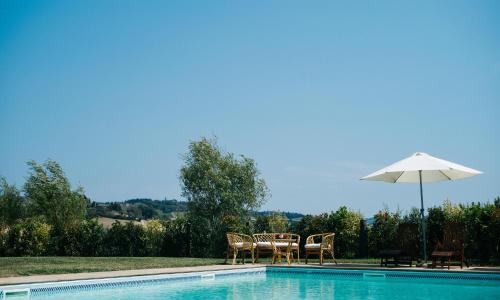 Gatto Bianco Tizzauli