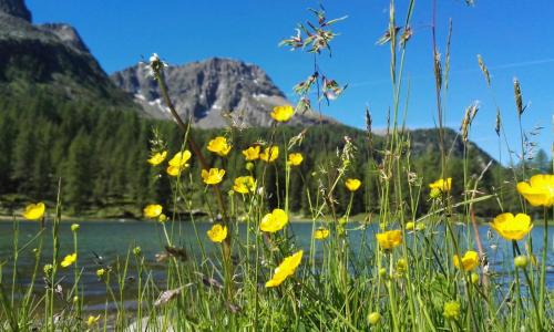 Hotel Arnika Wellness