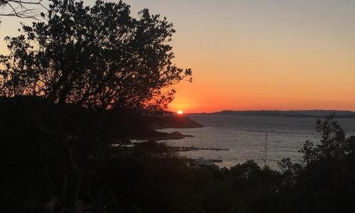 Residence Gli Oleandri 128 - Costa Smeralda - Porto Cervo