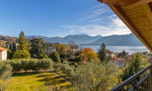 Apartment Tulipani 11