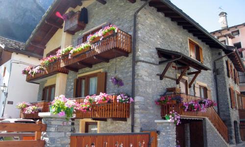 Appartamenti Lo Scoiattolo - Noce CIR 0046 - Nocciola CIR 0048