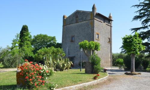 Magica Torre Medievale