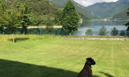 villa Etti cipat 66115