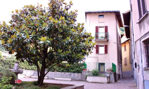 LA MAGNOLIA Guests House