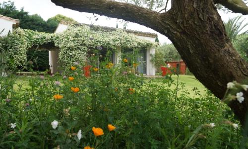 Studio au coeur de la petite camargue