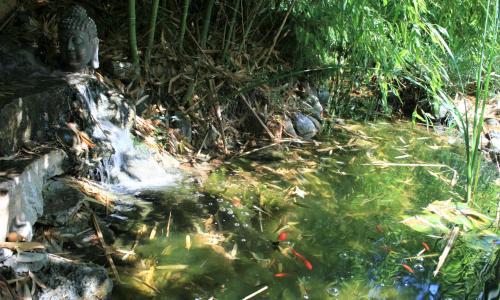 Le Mas De La Cigale Bleue, Caumont Sur Durance