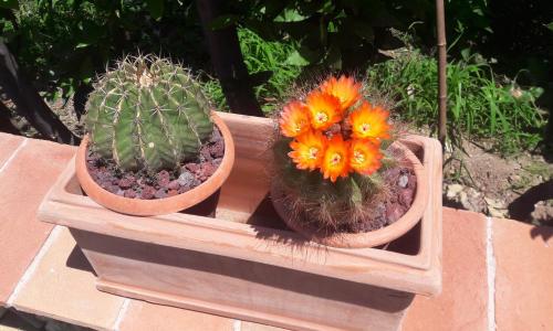 Il colle di Abramo casa vacanze Enrica