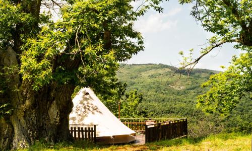 Podere di Maggio - Canvas tent Chestnut