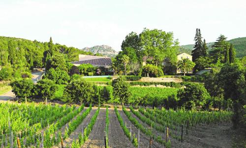 Château Haut Gléon