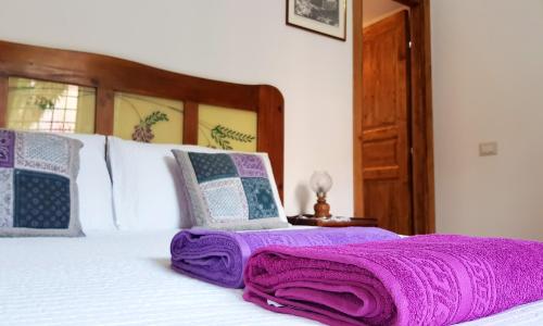 Il Giardino Al Pigneto