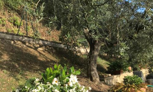 Casa Vacanze Vecciano