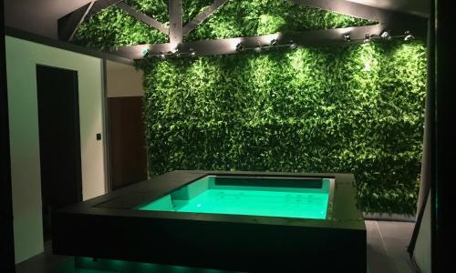 Maison spa piscine d'Alessia