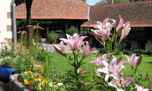 Le gîte des écureuils