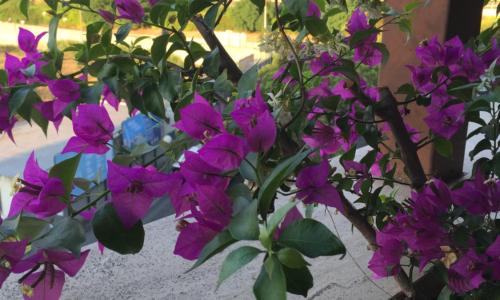 Luxury Penthouse Pescara ponte Flaiano