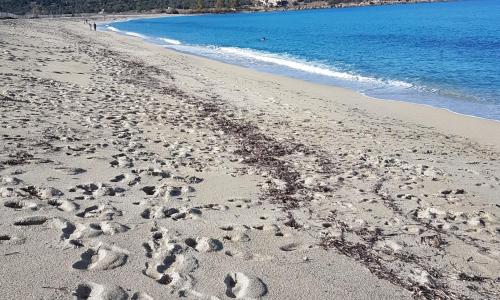 Chez Valérie et Stéphane, Les terrasses de Lozari