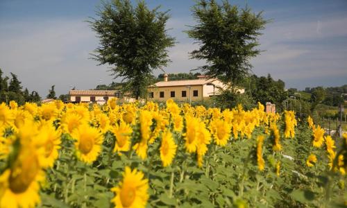 Le Fiabe Hotel Resort