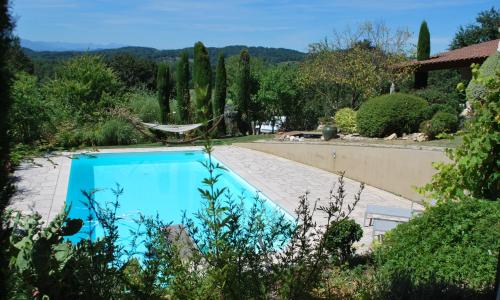 Le cocon vert
