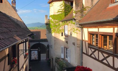 Le Grenier Des Arômes Au Domaine Wittmann